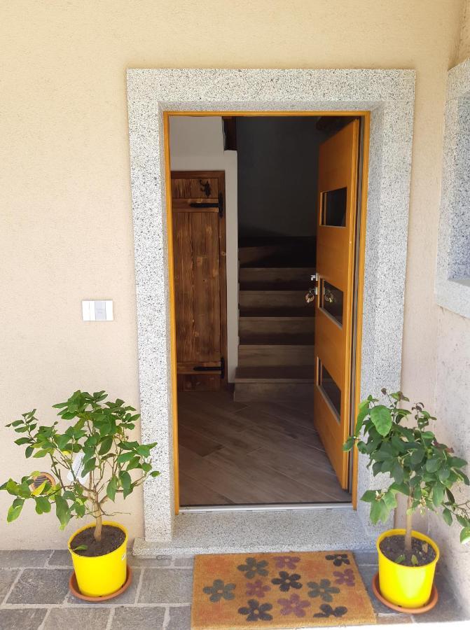 Ledro Nest Διαμέρισμα Mezzolago Εξωτερικό φωτογραφία